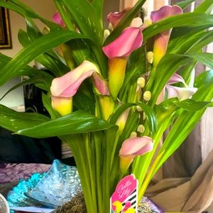 Meet your Posher, Khady